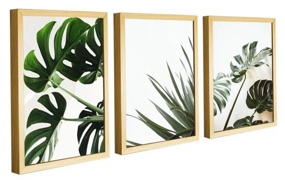 Kit Quadros Decorativos Para Sala De Estar Folhagem Molduras