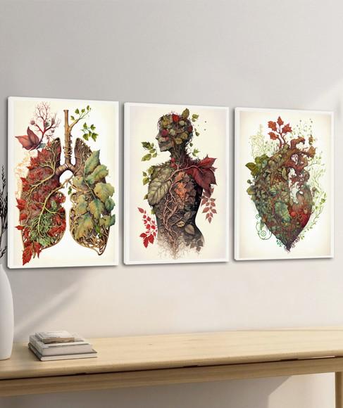 Quadro Decorativo Anatomia Humana Consultório Médico Moldura