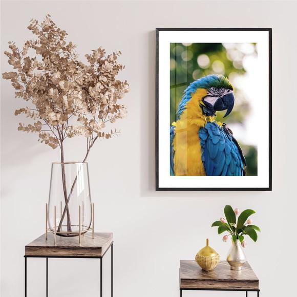 Quadro Decorativo Arara Paisagem Natureza Moldura e Vidro