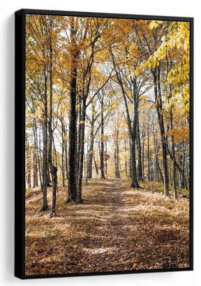 Quadro Decorativo Arvore Floresta Amarela Folhagem Moldura