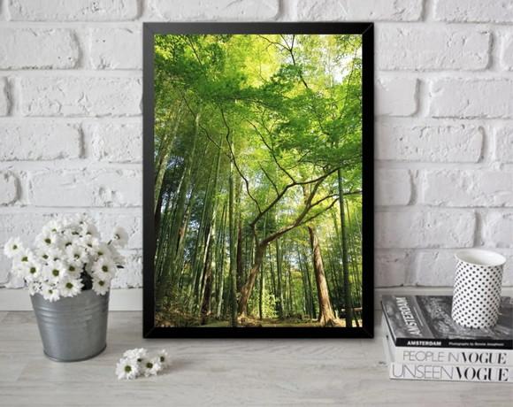 Quadro Decorativo Arvore Floresta Verde Folhagem Com Moldura