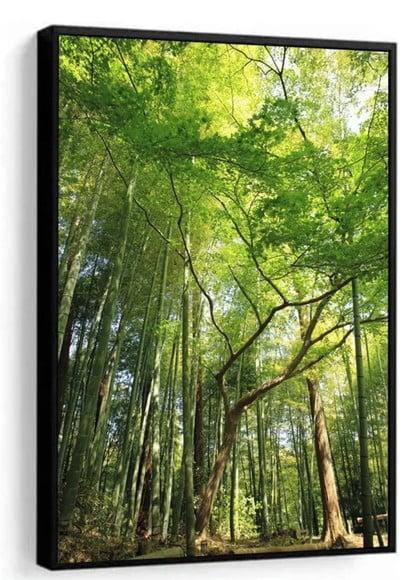 Quadro Decorativo Arvore Floresta Verde Folhagem Com Moldura
