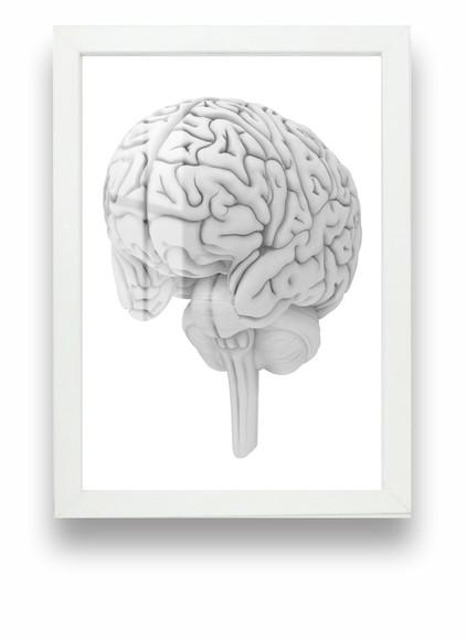 Quadro Decorativo Cérebro Anatomia Medicina Moldura e Vidro