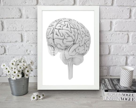 Quadro Decorativo Cérebro Anatomia Medicina Moldura e Vidro