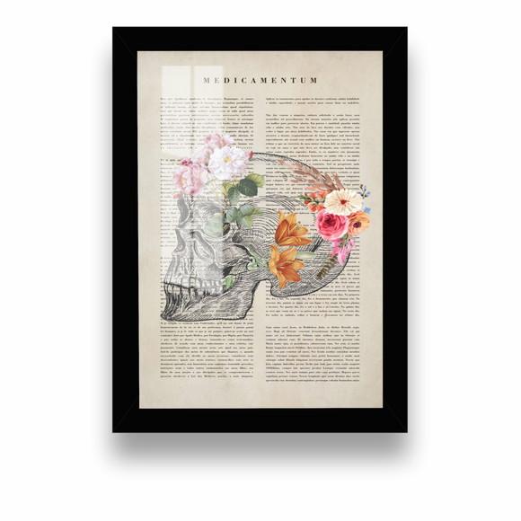 Quadro Decorativo Crânio Anatomia Medicina Com Moldura Vidro