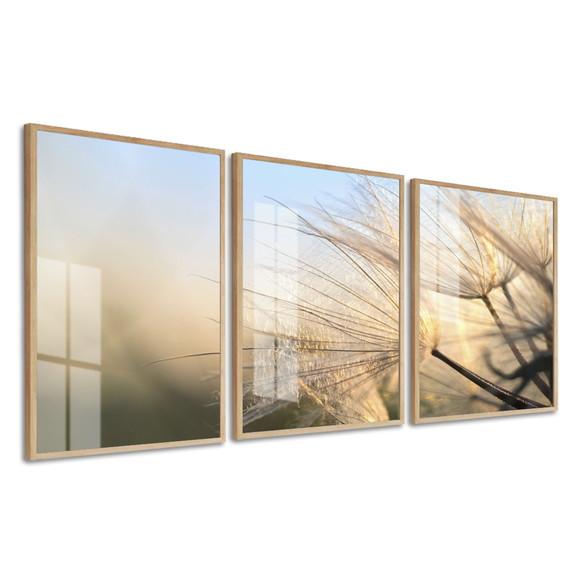 Quadro Decorativo Dente De Leão Para Sala Moldura E Vidro