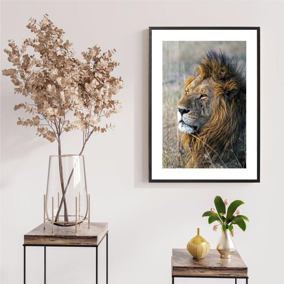 Quadro Decorativo Leão De Judá Moderno Com Moldura e Vidro