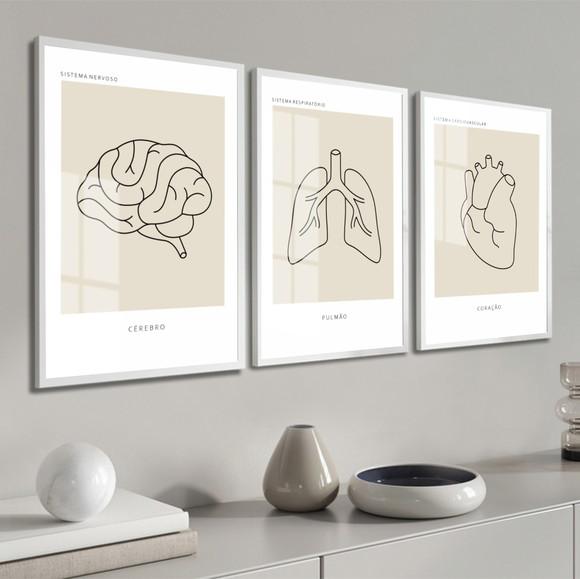 Quadro Decorativo Medicina Consultório Anatomia com Vidro
