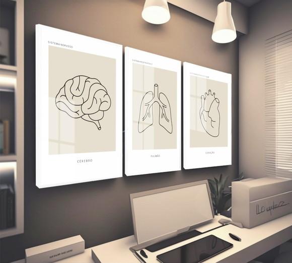 Quadro Decorativo Medicina Consultório Anatomia com Vidro