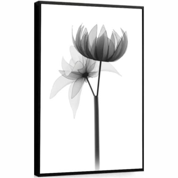 Quadro Decorativo Moderno Flor Preto e Branco com Moldura
