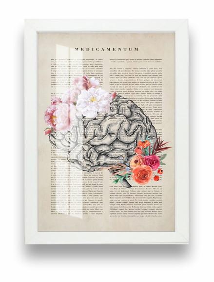 Quadro Decorativo Psicologia Cérebro Anatomia Moldura Vidro