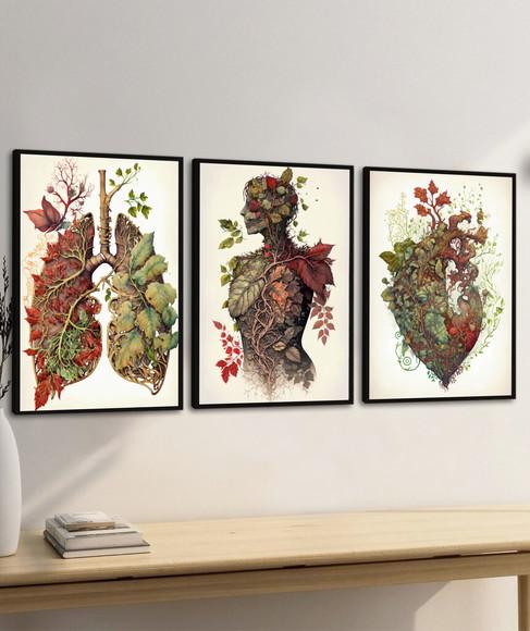 Quadros Decorativos Anatomia Consultório Medicina Moldura