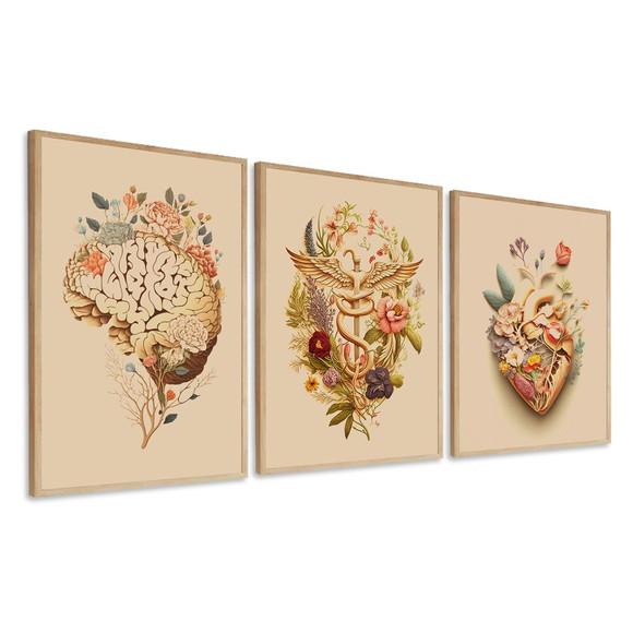 Quadros Decorativos Anatomia Consultório Médico com Moldura