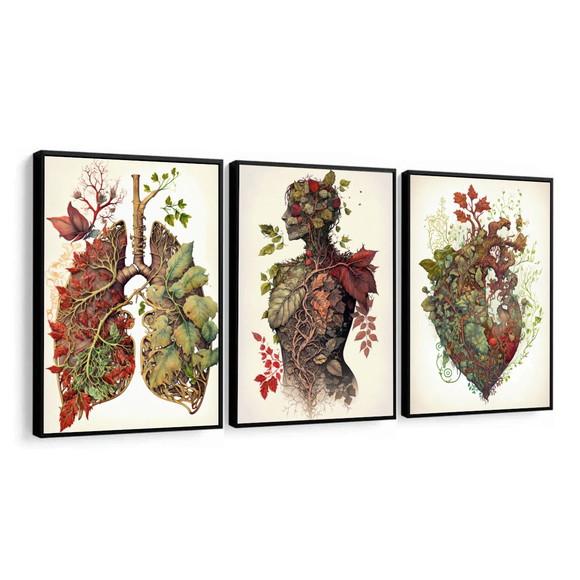 Quadros Decorativos Anatomia Consultório Medicina Moldura
