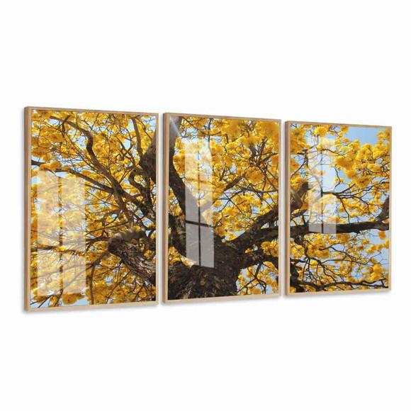 Quadros Decorativos Arvore Amarela Paisagem Moldura e Vidro