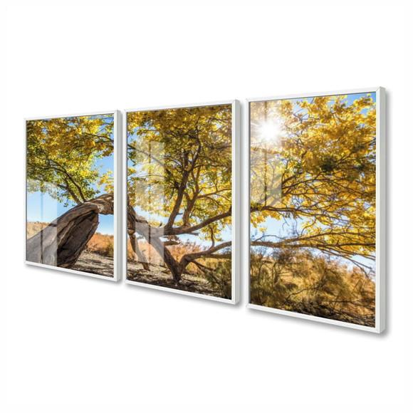 Quadros Decorativos Arvore Amarela Paisagem Moldura e Vidro