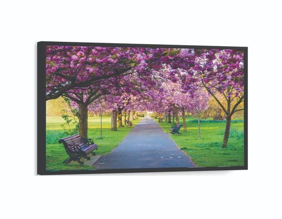Quadros Decorativos Arvore Cerejeira Parque Paisagem Moldura