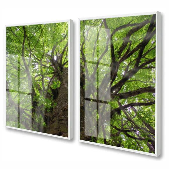 Quadros Decorativos Arvore Folhagem Verde Moldura e Vidro