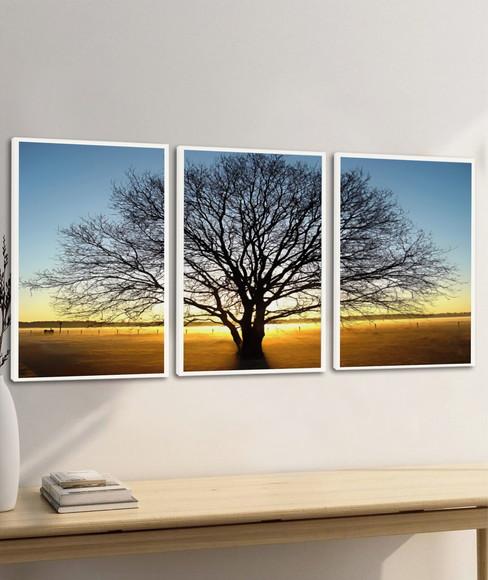 Quadros Decorativos Arvore Galho Paisagem Pôr do Sol Moldura
