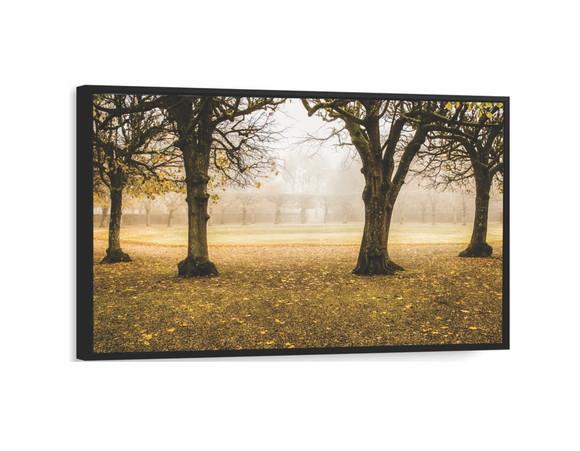 Quadros Decorativos Arvore Paisagem Outono Folhagem Molduras