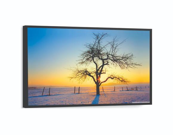 Quadros Decorativos Arvore Paisagem Pôr Do Sol Com Molduras