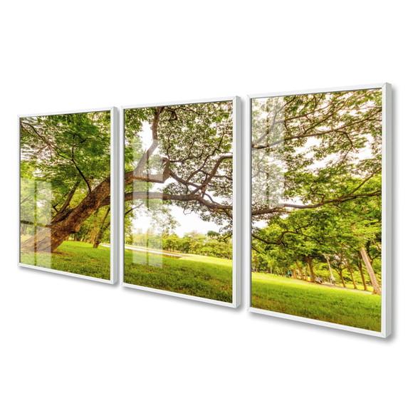 Quadros Decorativos Arvore Verde Paisagem Moldura e Vidro