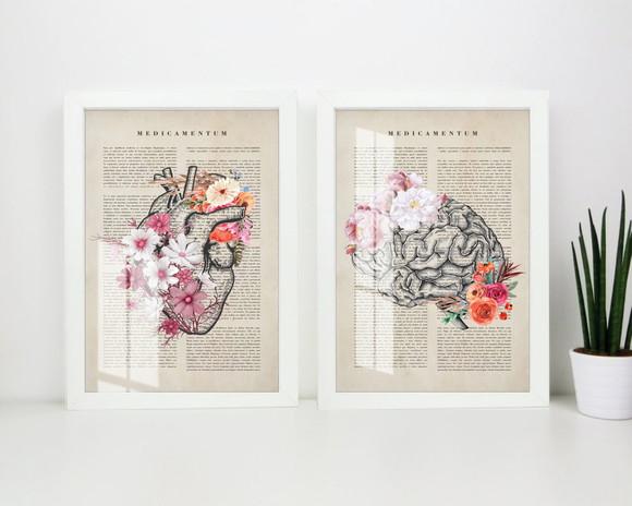 Quadros Decorativos Cérebro Coração Medicina Moldura e Vidro