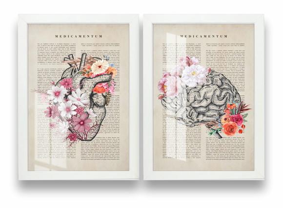 Quadros Decorativos Cérebro Coração Medicina Moldura e Vidro