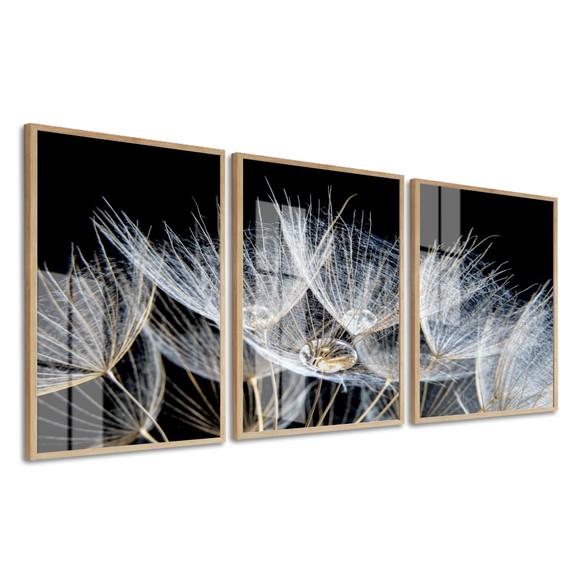 Quadros Decorativos De Vidro Dente De Leão Preto E Branco