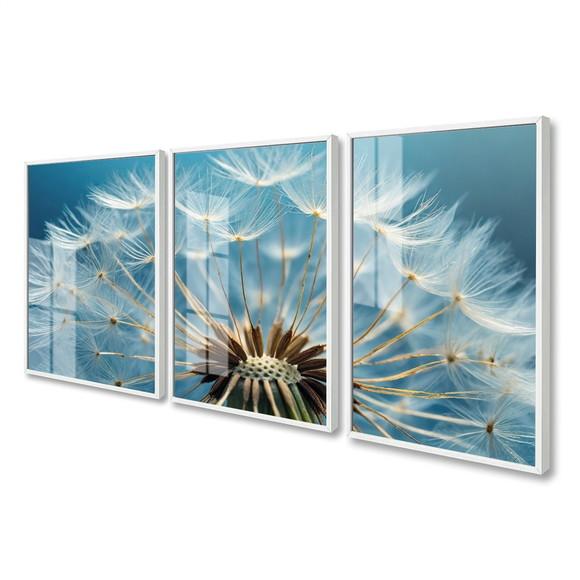 Quadros Decorativos Dente de Leão Flores com Moldura e Vidro