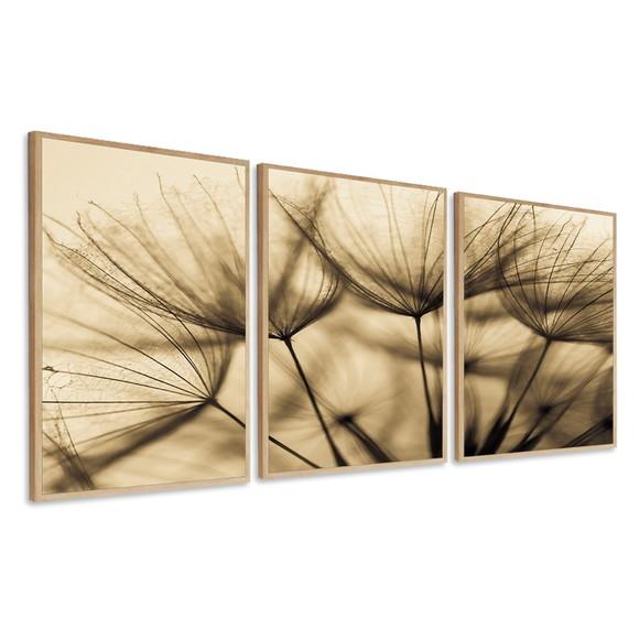 Quadros Decorativos Dente de Leão Flores Hall Sala com Vidro