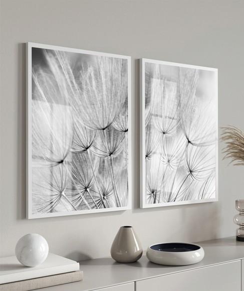 Quadros Decorativos Dente de Leão Preto Branco Moldura Vidro