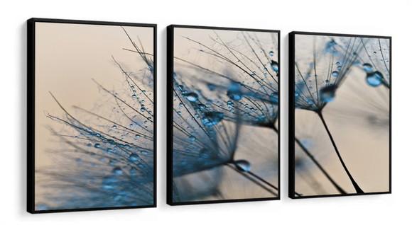 Quadros Decorativos Flor Dente de Leão para Sala com Moldura