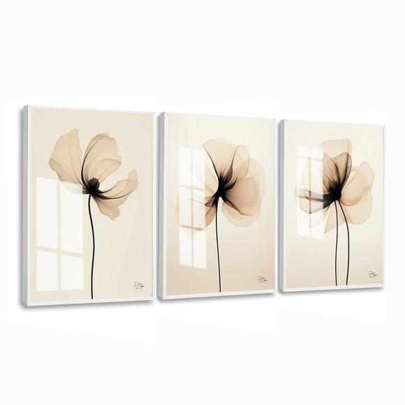 Quadros Decorativos Flores Bege Moderna Hall Luxo com Vidro