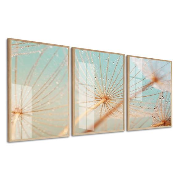 Quadros Decorativos Flores Dente De Leão Com Moldura E Vidro