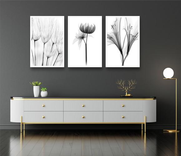 Quadros Decorativos Flores Preto e Branco Botânico Molduras