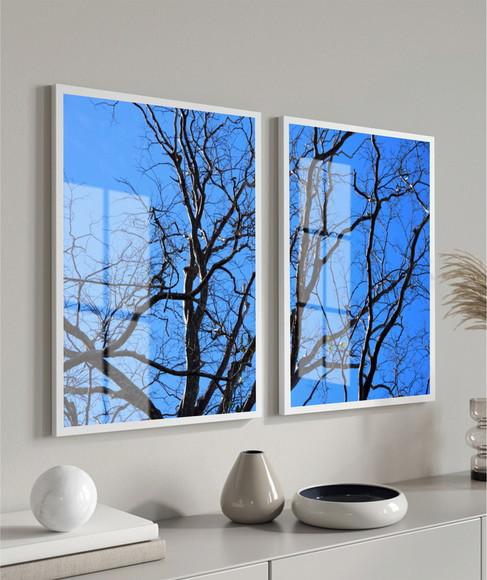 Quadros Decorativos Galhos Secos Para Sala Moldura e Vidro