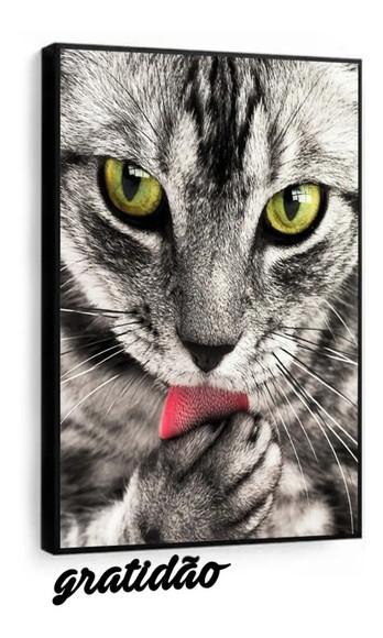 Quadros Decorativos Gato Felino Animais Grande Com Moldura