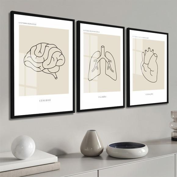 Quadros Decorativos Medicina Consultório Anatomia Bege Vidro