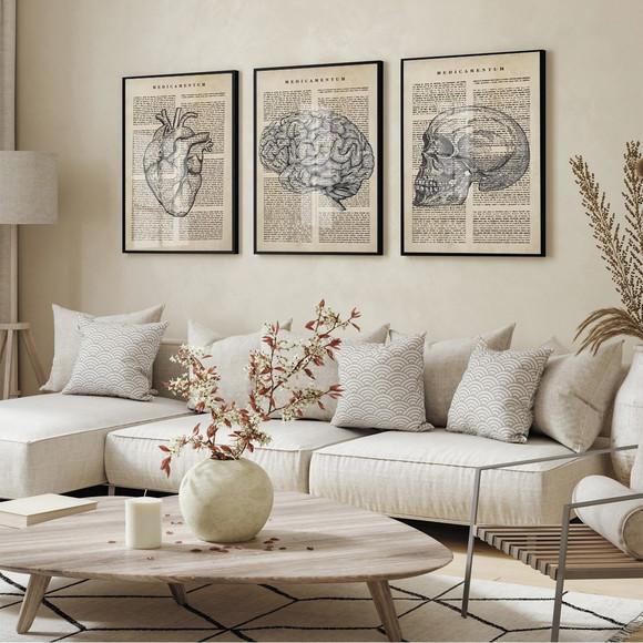 Quadros Decorativos Medicina Consultório Anatomia com Vidro