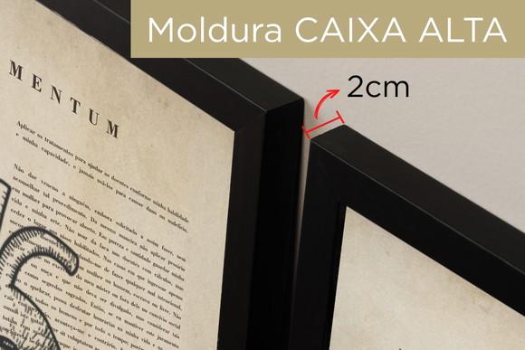 Quadros Decorativos Medicina Consultório Flores Com Moldura