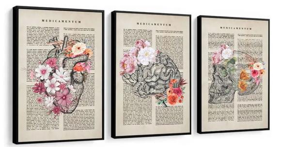 Quadros Decorativos Medicina Consultório Flores Com Moldura