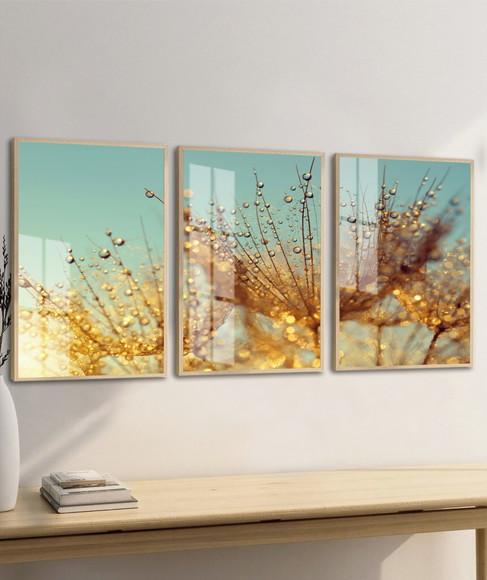 Quadros Decorativos Modernos Dente de Leão Moldura e Vidro