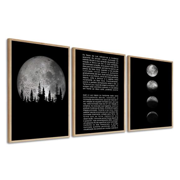Quadros Decorativos Modernos Fases Da Lua Frase Com Moldura