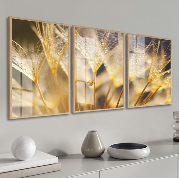 Quadros Decorativos Modernos Flores Dente de Leão com Vidro
