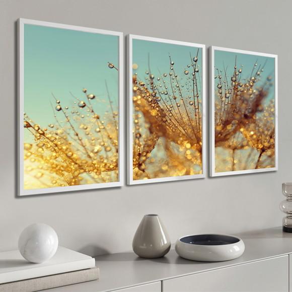 Quadros Decorativos Modernos Flores Dente de Leão Moldura