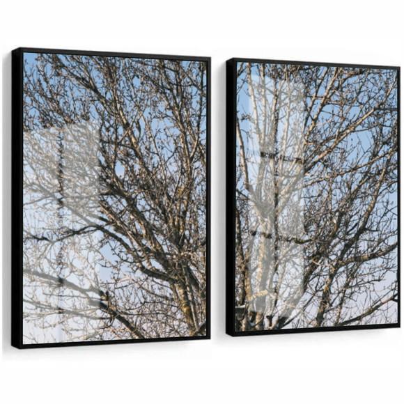 Quadros Decorativos Modernos Paisagem Galhos Moldura e Vidro