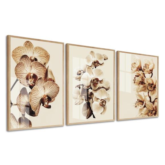 Quadros Decorativos Orquídea Bege Flores Com Moldura E Vidro