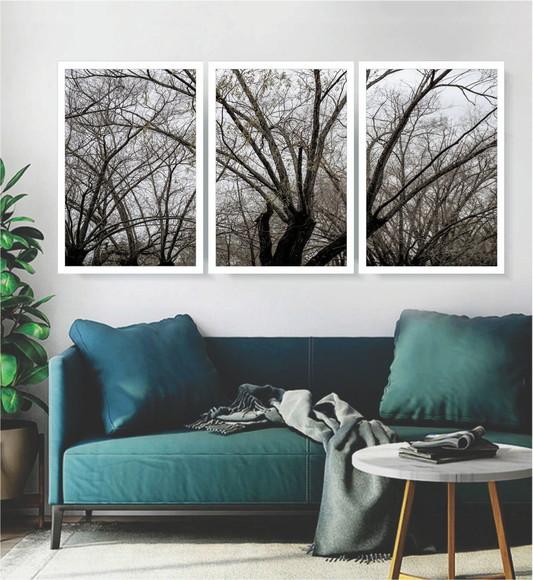 Trio De Quadros Decorativos Galhos Preto e Branco Moldura