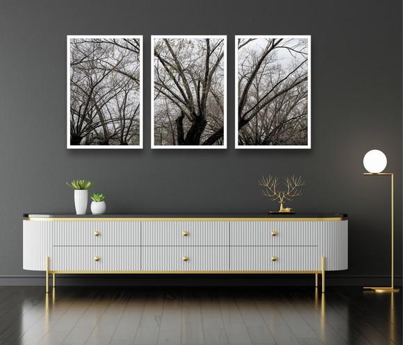 Trio De Quadros Decorativos Galhos Preto e Branco Moldura